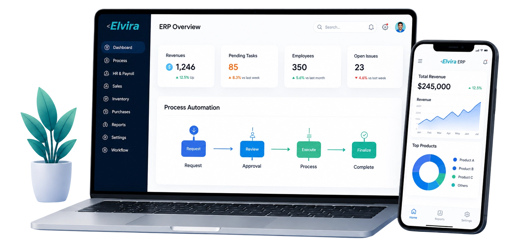 Why Choose Elvira Infotech ERP Illustration